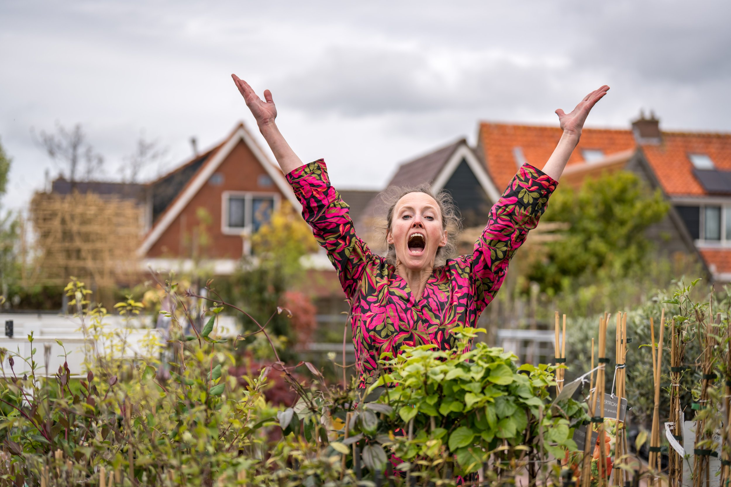 Pluk, De Beweging (2025)