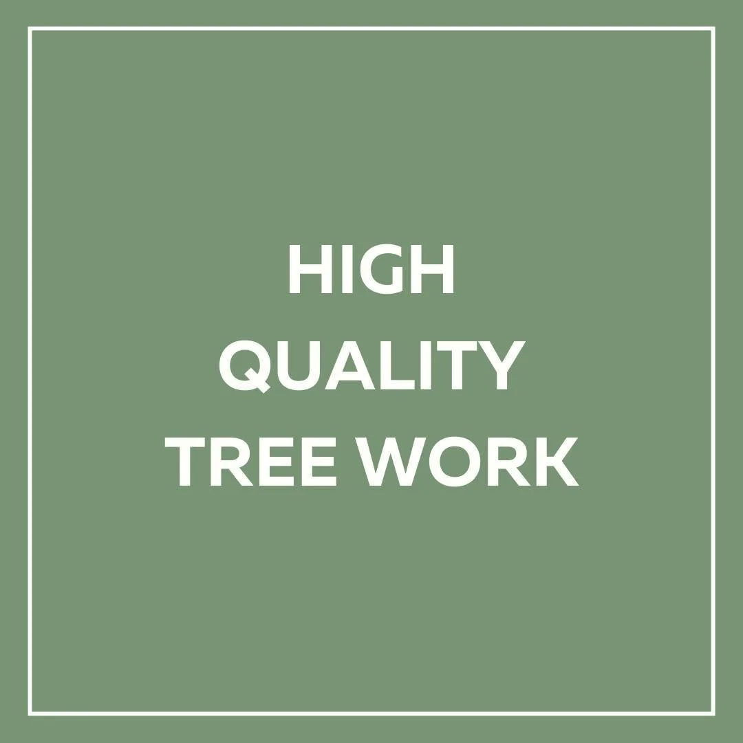 Tree Surgeons & Maintenance Arborists Smith & Arbor