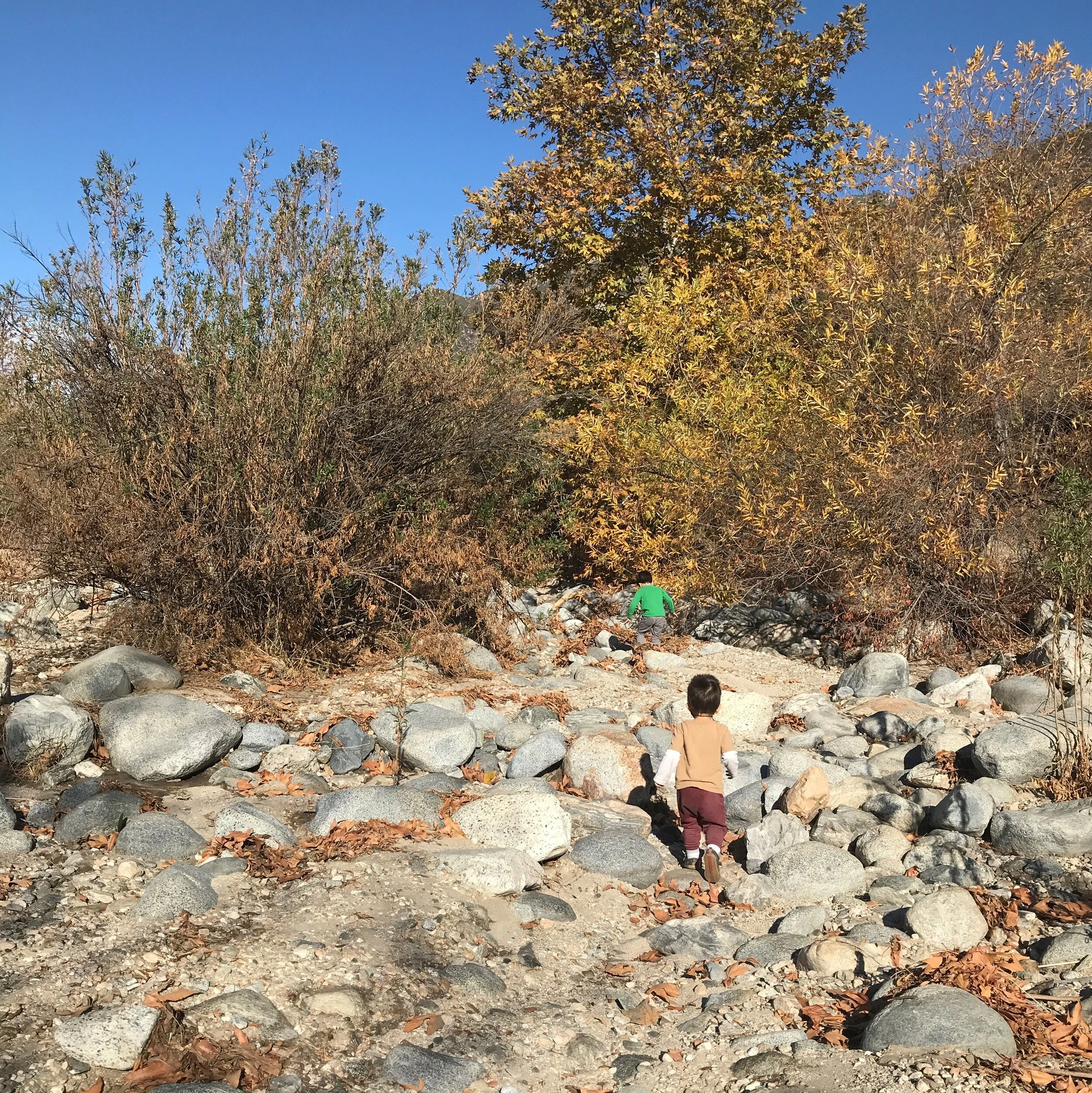 Family Friendly Hiking Trails