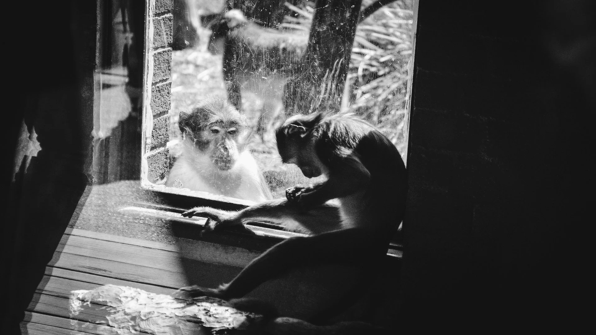121 The Window.jpg