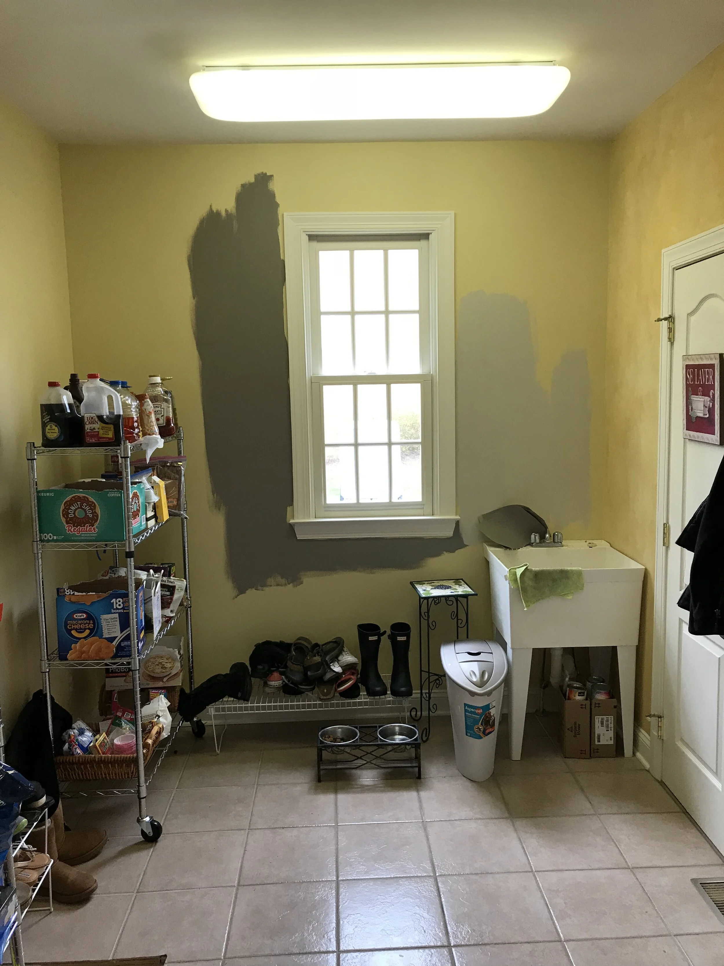 Mudrm BEFORE.JPG