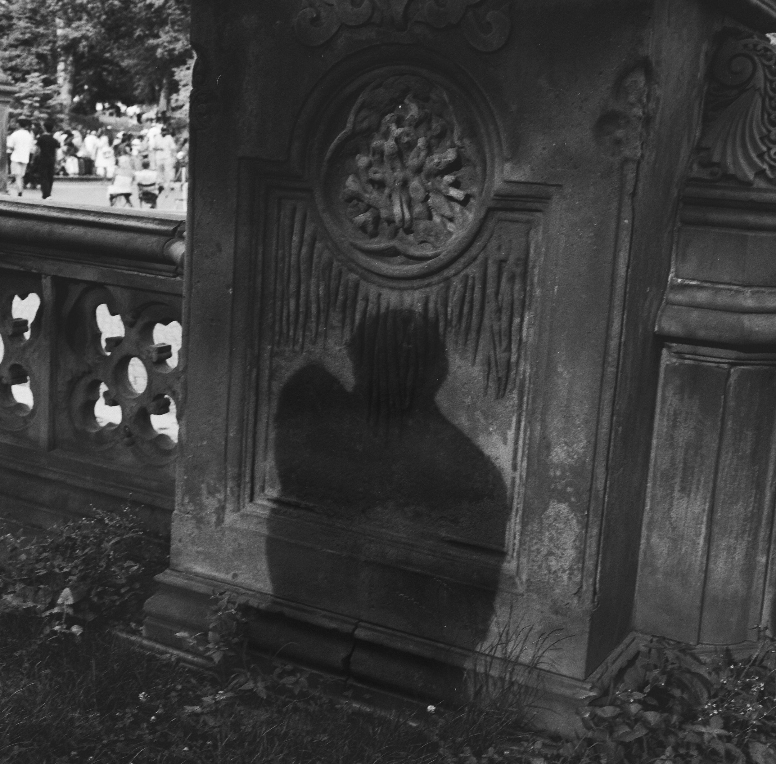 35090003.jpg