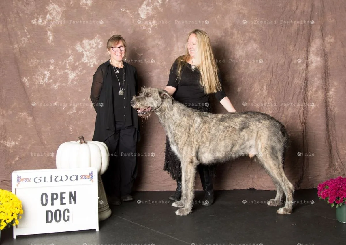     Open Dog   
  1. Barrington's Lamarck of The Hills . 11/04/2016. Breeder: Birgitta Stolpe &amp; Maria Lubera. By Barrington's Kooganjilika Of Caraglen x CH Shellane's Hecate At Barrington.&nbsp;Owner: Birgitta Stolpe. 
  2. Cugein Livin&rsquo; 