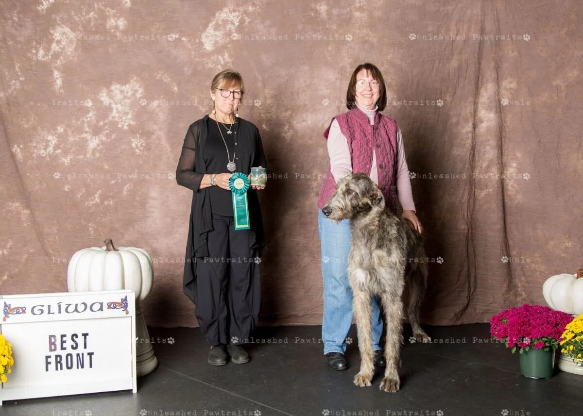     Best Front   
  Callaid Slaine Merremia Emo&rsquo;Di . 10/09/2018. Breeder: Helen Philpott &amp; Chris Davis. By MBISS GCH CH Shellane Pavarotti Sings for Slaine x Cheltiagh Mercy Otis Warren of Callaid. Owner: Chris &amp; Robert Bernstein &amp;