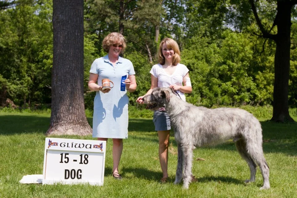     Yearling Dogs, 15 to 18  months   
     
   1     Cwn     Annwns  Sully of  Avalon  1-13-11. Breeders: Jim &amp; Judy  Nanney .   By  Braydon  Summer Knight of  Cwn   Annwn  x  Cwn   Annwn&rsquo;s  Autumn Start  Neala .  Owners: Courtney &amp; 