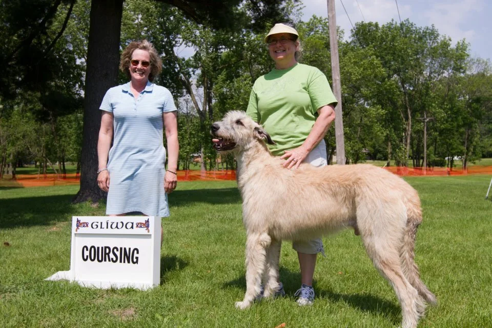      Coursing Champions       
   1     Aherns Little Bit of Seamus, Fch, GRC    11/29/08, Dog. Breeder: Cindy Biehler. By Mighty Ace x Singing Swords Wynne Keely. Owners: John &amp; Jennifer Ahrens  
   2     Rockhart Mara of Tresmorn, Fch   , 3/3