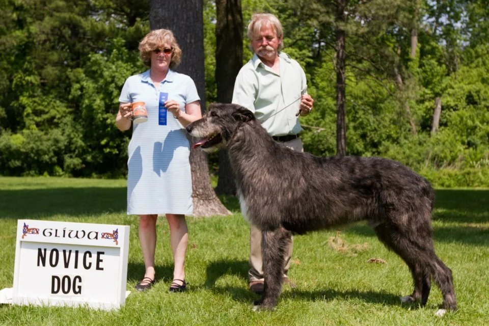     Novice Dogs   
   1     Keltairs    Punisher,  12/24/10. Breeder: Jens   Hogsander    By  Furlongs Humphrey x  Cualainn  Phoenix at  Keltair . Owner: Joel Mattson. 
    2    Harmony&rsquo;s Loki of GLIWA  , 8/29/06. Breeders: Terry L &amp; Mary
