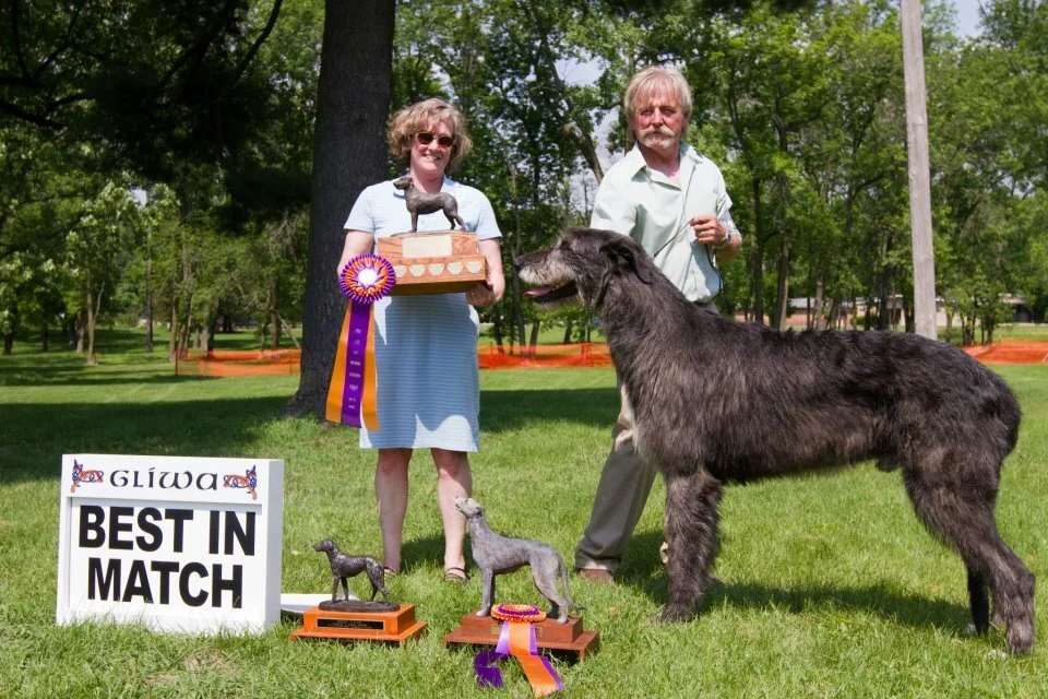   BEST IN MATCH (&amp; TYPE) - Keltair Punisher 4/19/11    Breeder: Jens Hogsander&nbsp; By Furlongs Humphrey x Cualainn Phoenix at Keltair&nbsp; Owner: Joel Mattson  