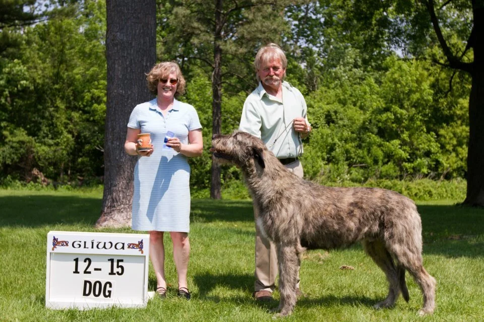      Yearling Dogs, 12 to 15 month      
   1     Nightwings Conspiracy,    4/9/11. Breeder: Joel Mattson. Araberara Legor x Nightwing&rsquo;s Intrigue. Owners: Joel &amp; Wendy Mattson.  
  &nbsp;   Ab    Rockhart  Suspicion   , 4/24/10/ Breeder/O