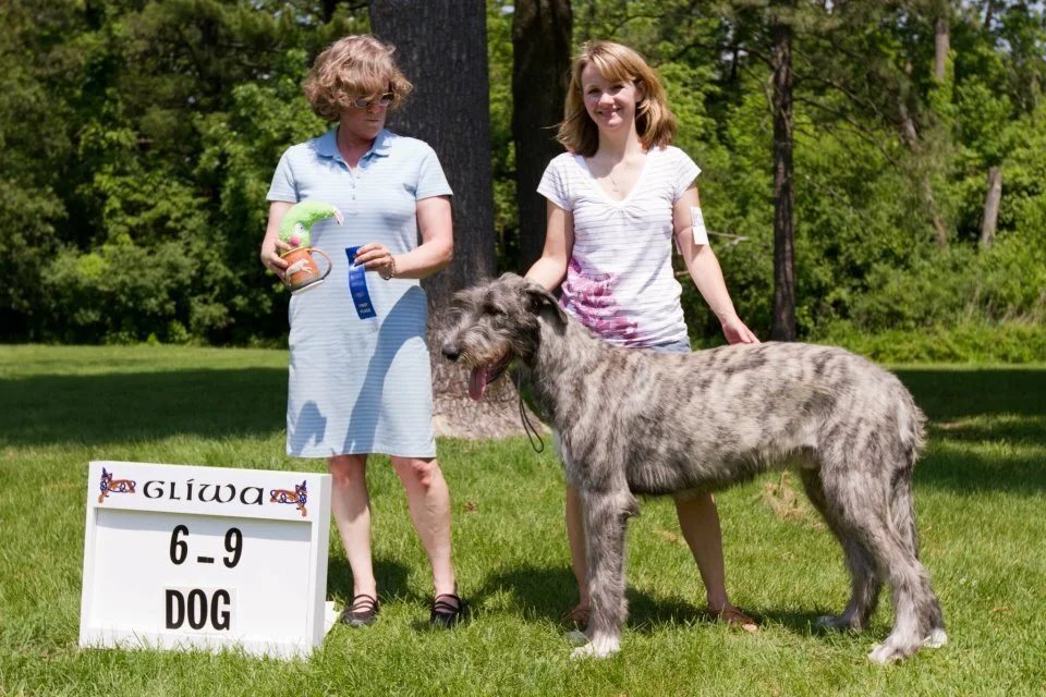     Puppy Dogs, 6 to 9 months    
       
   1     Caraglen    Emmett of Avalon,  11-6-11.  Breeders: Bev &amp; Sue    Stobart    By  Ch  Caraglen   Berwyck  True Lies x Ch   Slaine   Caraglen  Rock  On.  Owners: Courtney &amp; Ryan Smith,  Sue  St