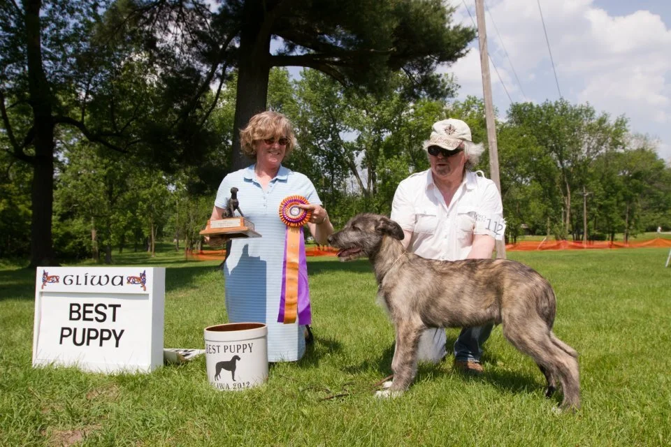    BEST PUPPY &ndash; Rockhart Treason, 2/19/12, Breeder/Owner: By Rockhart Penance x Can Ch Rockhart Katja JC.&nbsp; Owner:&nbsp; Lynn Simon, MD   