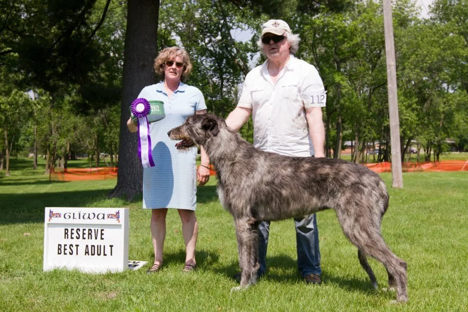    RESERVE BEST ADULT&nbsp; Rockhart Paloma JC, 5/17/11.&nbsp; Breeder/Owner:&nbsp; By Furlong Bogart x Rockhart Inara JC.&nbsp; Owner:&nbsp; Lynn Simon, MD   