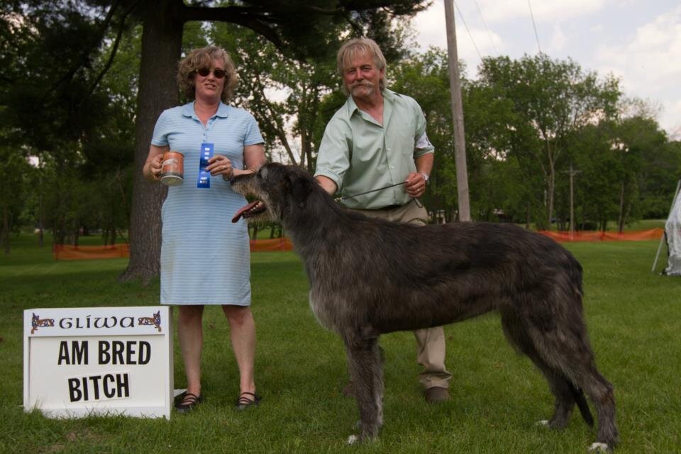      American Bred Bitches&nbsp;    
  &nbsp;  &nbsp;   1     Nightwing&rsquo;s Relentless   , 9/5/07. Breeder/Owner. By Stoneybrook Foinaven Geronimo x Nightwing&rsquo;s Nora. Owner: Joel Mattson  
    2     Rockhart Okelani JC   , 8/16/06. Breede