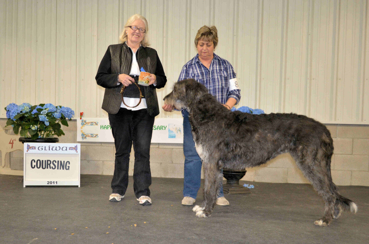    Coursing Champion  - Ch Caraglen Shellane Cambria, FCH 
 Bev &amp; Sue Stobart, Breeders - Maria Lubera &amp; Sue Stobart, Owners 
  2- USA Ch Ianina's Six Ways from Sunday SC, Fch,&nbsp; AI Gottsch and GK Curtis  
  3- Rockhart Mara of Tresmor