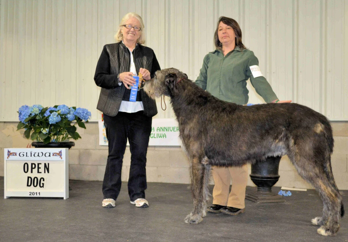    Open Dog  - Tomahawke's Spirit Arrow 
 Mike &amp; Robyn Pline, Breeder/Owners 
  2- Berwyck No Duty to Retreat, Robert and Gretchen Bernardi  
  3- Stoneybrook Odin of Harmony,&nbsp; Mike Cherry and Kim Oliver   