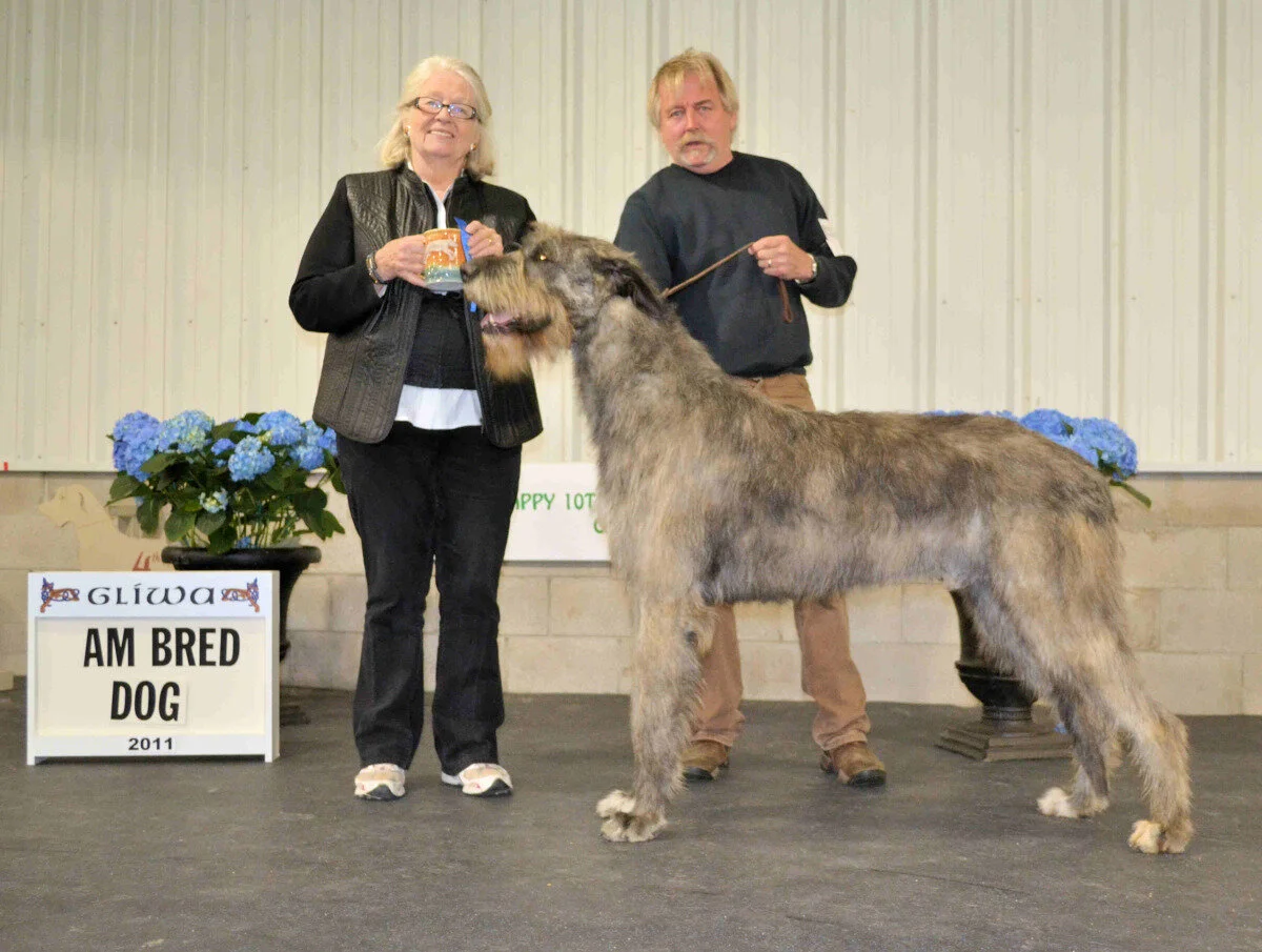    American Bred Dog  - Ninegates Mulligan 
 Lynn Cox, Breeder, - Joel Mattson, Owner 
  2- Harmony's Loki of Gliwa,&nbsp; Mike Cherry &amp; Kim Oliver   