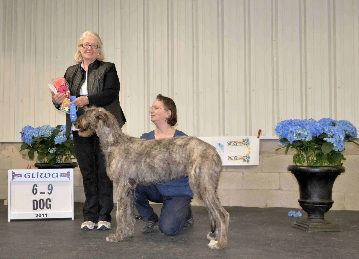    6 -9 month&nbsp;Puppy Dog &nbsp; - Nightwing's Ianina's Baloo 
 Joel Mattson, Breeder - AI Gottsch &amp; GK Curtis, Owners 
  2- Erinmore Carrickaneena Padraig,&nbsp;&nbsp; Mary Ann Russell, Eileen B and Eileen M Flannigan  
  3- Nightwings's B