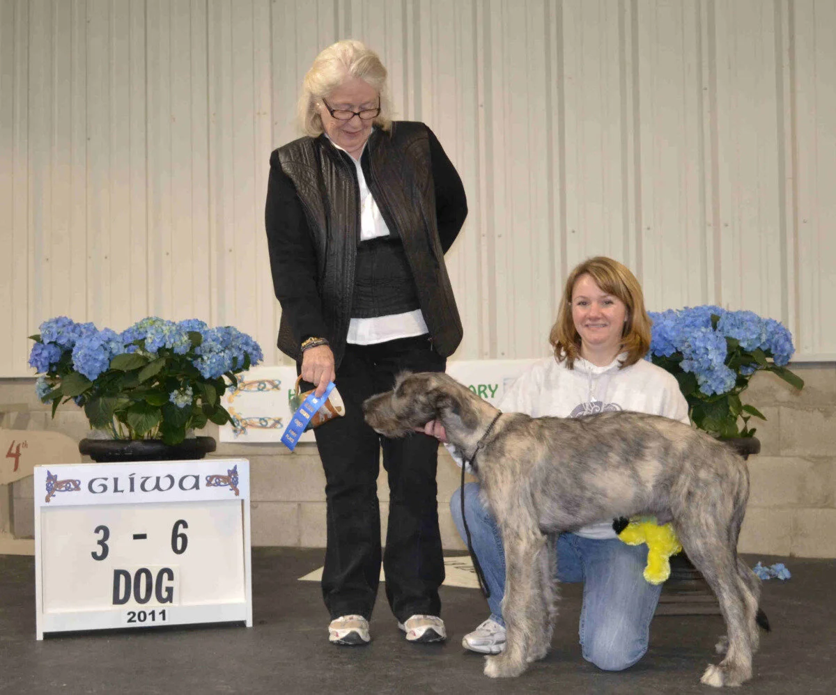    3- 6 month Puppy Dog  - Cwn Annwyns Sully of Avalon 
 Jim &amp; Judy Nanney, Breeders- Courtney &amp; Ryan Smith, Owners  