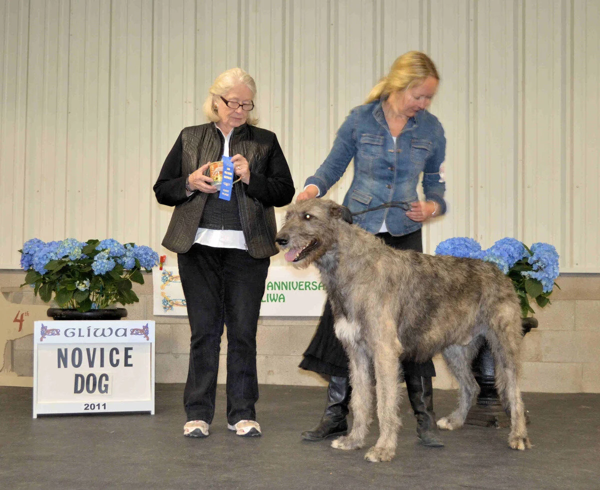    Novice Dog  - Barrington's Valdemar of Caraglen 
 Bev &amp; Sue Stobart, Robert &amp; Gretchen Bernardi, Breeders 
 Birgitta Stolpe, Kevin Sprouse,&amp; Sue Stobart, Owners 
  2- Slaine Berwyck Andante,&nbsp; Mike and Helen Philpott  
  3- Riv