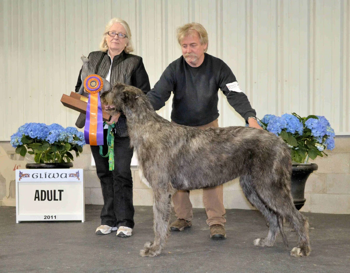    Best Adult  - Nightwing's Atonement  