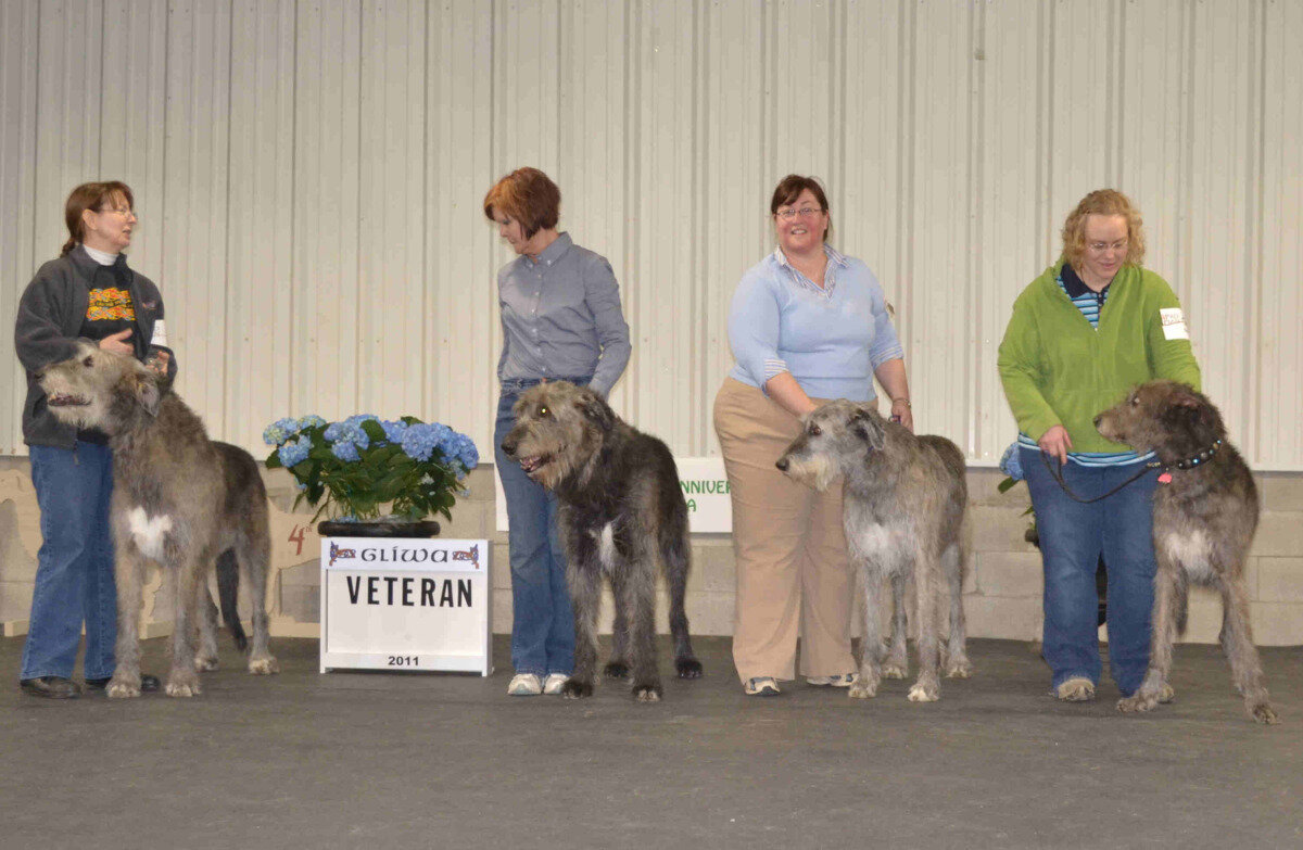    Our Wonderful Veterans' Classes   