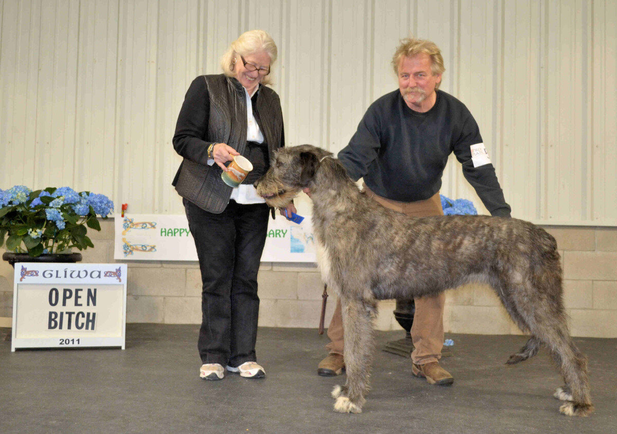    Open Bitch  - Ninegates Secret at Nightwing 
 Lynn Irwin Cox- Breeder, Joel Mattson - Owner 
  2- Berwyck Shellane Provocatore, Maria Lubera  
  3- Caraglen Berwyck Lucciola, Bev &amp; Sue Stobart and Gretchen Bernardi  
  4- Wolfhaven Affair 
