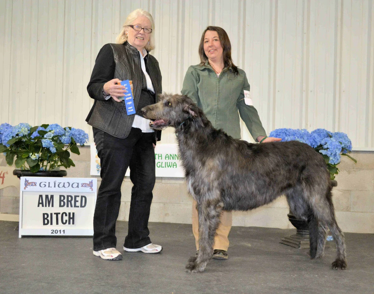    American Bred Bitch  - Tomahawke's Wind in the Willows 
 Mike &amp; Robyn Pline - Breeder/Owners&nbsp; 
 
  2- Rockhart Naraya, JC,&nbsp; Beth Renstrom  
  3- Caraglen Dark Star,&nbsp; Bev &amp; Sue Stobart and Gretchen Bernardi  
  4- Singin