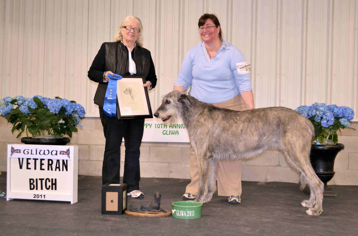    Best Veteran and Veteran Bitch  - Tailstorm Karontara Helix 
 Frances Abrams &amp; Karon Volk - Breeders, Marian Levin &amp; Frances Abrams -&nbsp;Owners 
  2- Stoneybrook Rowen Nimbus&nbsp;&nbsp; Beth Restrom   