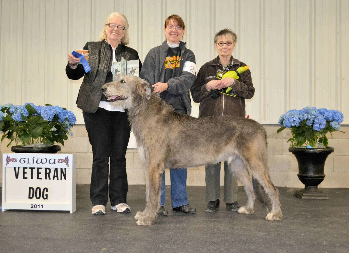    Veteran Dog &nbsp;- Ch Slaine Chivalry 
 Chris Krowzack- Breeder, Rita Kelley - Owner 
  2-Ch Glendalough Medarlin Rover, Brigid Boyle, Mary Pat and Cecil Corbett  
  3-Ch Talisker Saint Nicholas, CD, RE, GRC, TDI, VC,&nbsp; Phillip and Karla D