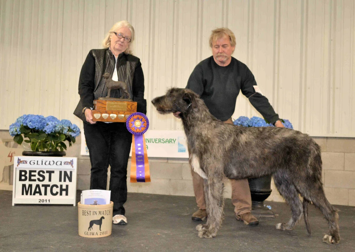     Best in Match   
 Nightwing's Atonement 
 Joel Mattson Breeder /Owner  