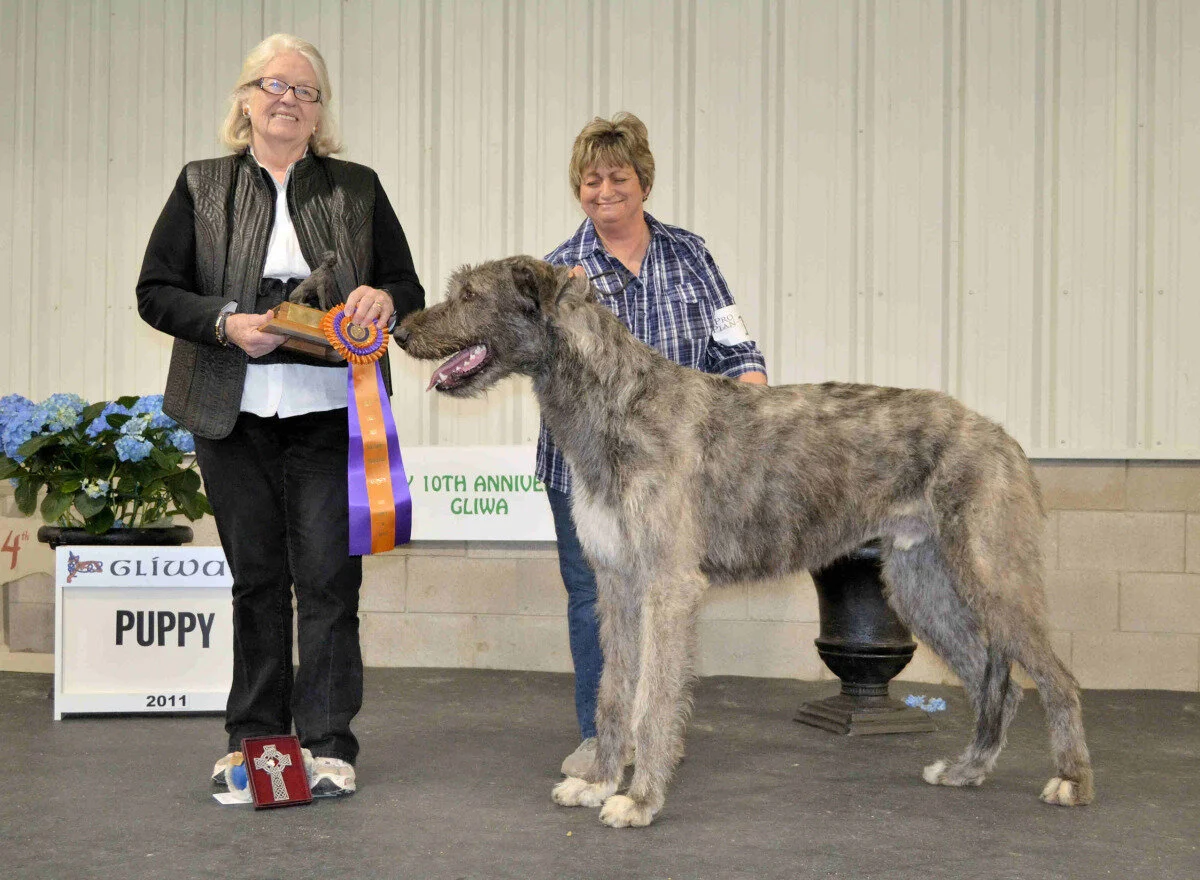    Best Puppy  - Shellane Braniff 
 Maria Lubera, Claire Morrison, Breeders - Maria Lubera, Owner  