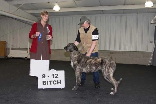 PUPPY BITCHES 9 TO 12