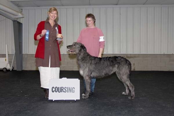 COURSING CHAMPIONS