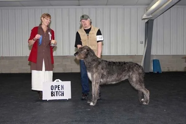 OPEN BITCHES