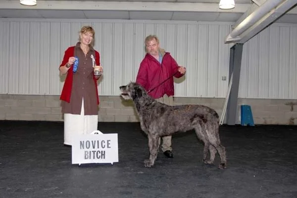 NOVICE BITCHES