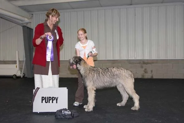 RESERVE PUPPY