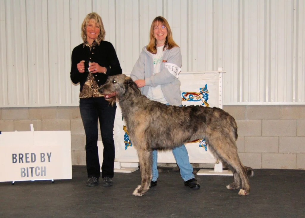     Bred-By Bitch &ndash; 1 entered   
   &nbsp;   
   1 &ndash; Slaine Acapella &ndash; C Krowzack   
   &nbsp;   
   more on next page     