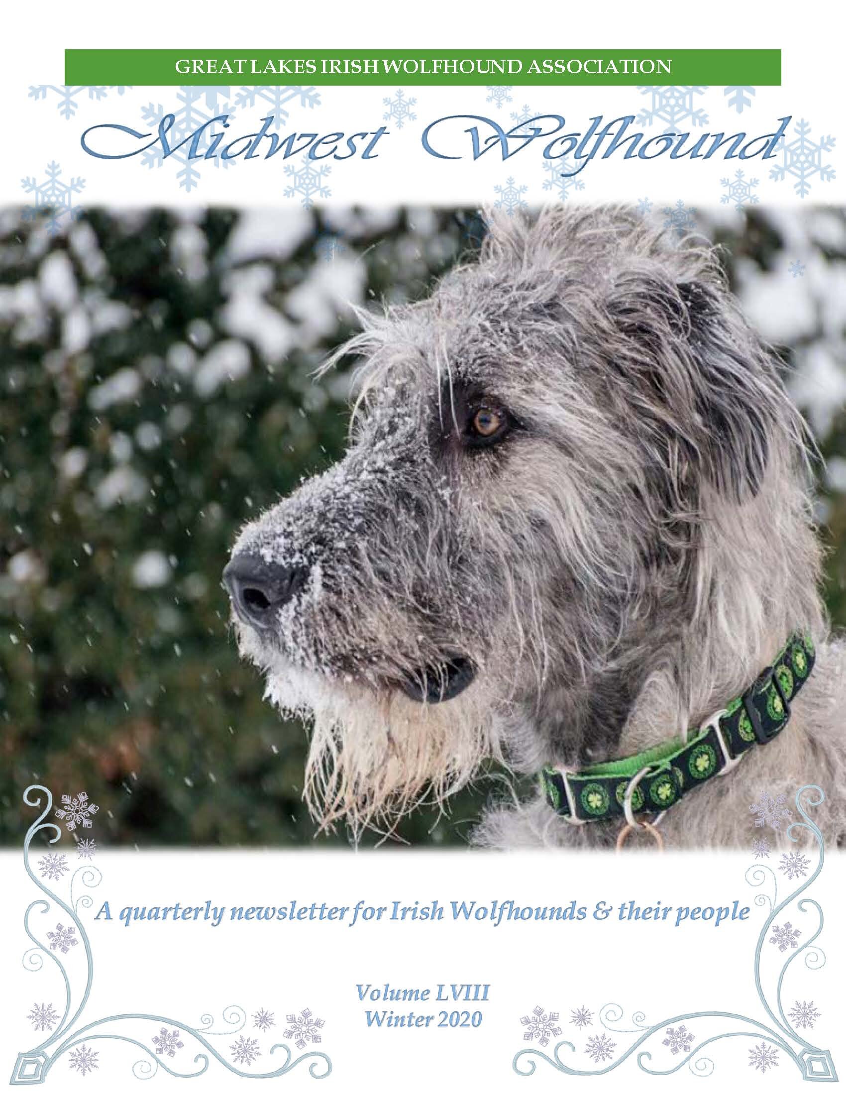 Midwest Wolfhound_2020_Winter