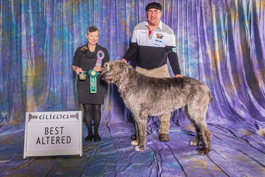   Altered Bitch     1. Starkeeper’s Norma Bo.  11/05/2014. Breeder: Jocelyne Gagne. By US CH CA CH Ard Rhi's Aegg Of Aran x CH Glenamadda Starkeeper Clodagh. Owner: Mark J. Bettin &amp; Jocelyne Gagne.    2. La Vie en Rose.  10/31/2016. Breeder: Unkn