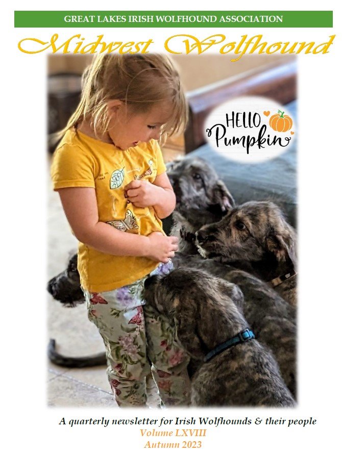 Midwest Wolfhound Autumn 2023