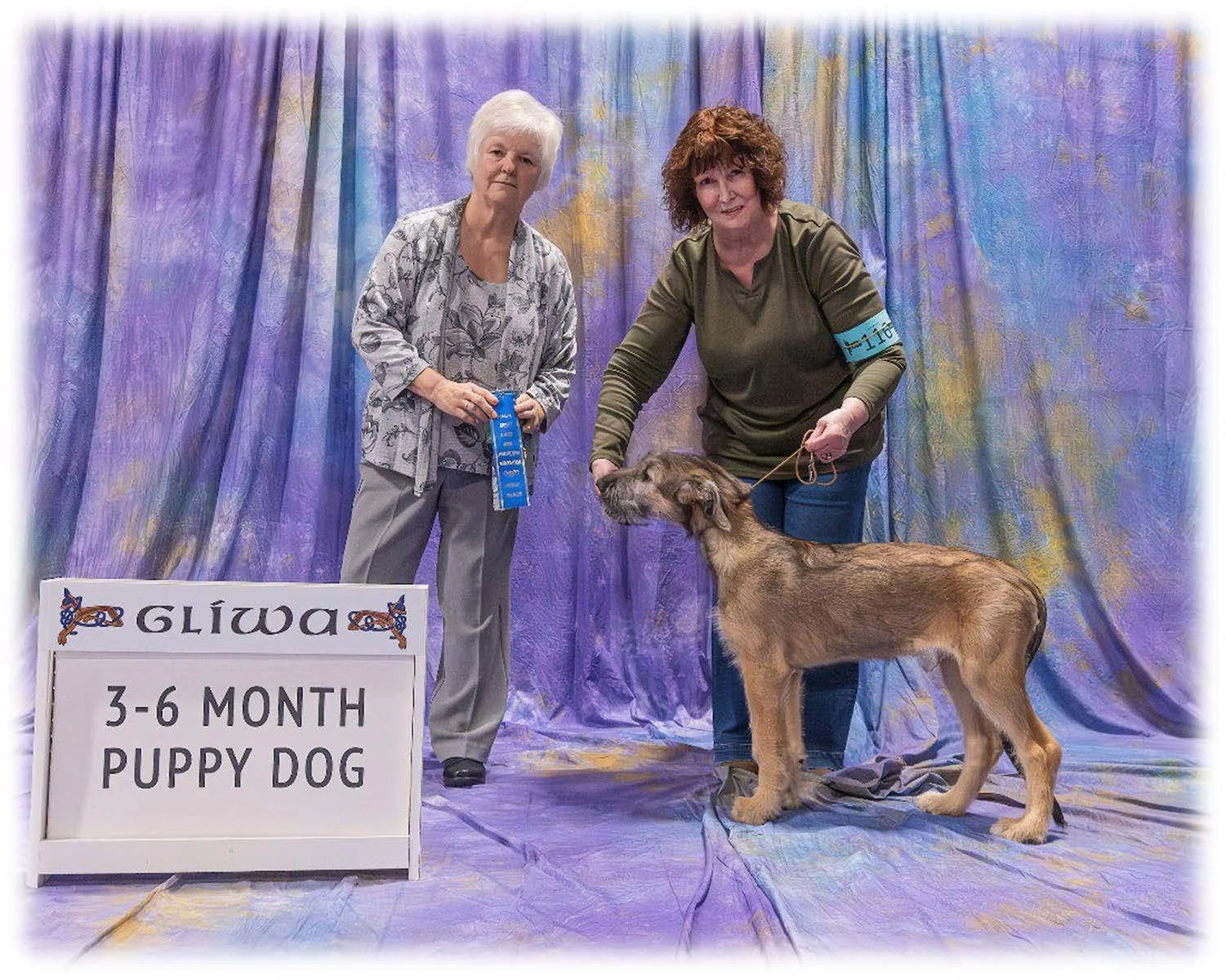   3-6 Month Puppy Dog      1. Custail Eamonn At Rosach Ridge . 07/10/2023. Breeder: Brian Heide. By Cluain Ard Fergus Mac Roich x Custail Carmenere. Owner: Kathleen &amp; John Rose.     2. Slaine Shellane Marcato . 06/25/2023. Breeder: Chris Bernstei