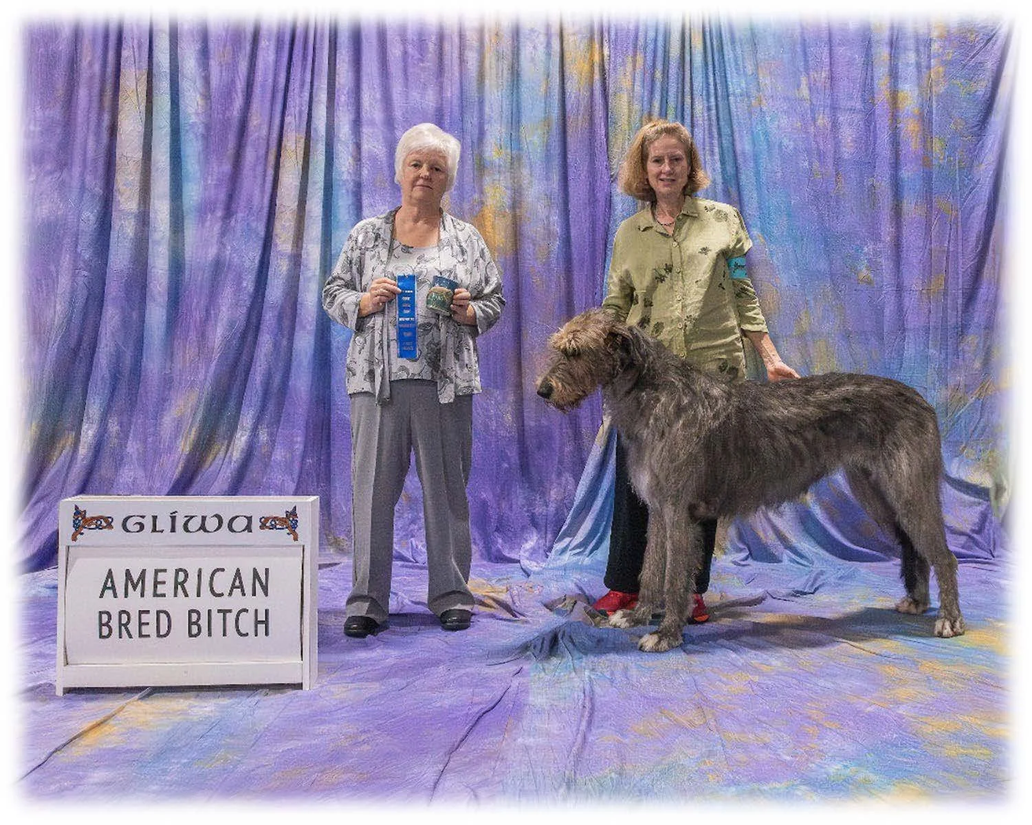   American Bred Bitch      1. Dry Creek Last Hurrah of Callaid.  02/01/2021. Breeder: Angela Hunter Knight. By GCH CH Niobrara Eoghan Roe x BISS GCH CH Caraglen Berwyck Libaan at Dry Creek. Owner: Helen Philpott.     2. Rosach Ridge at Last of Maloma