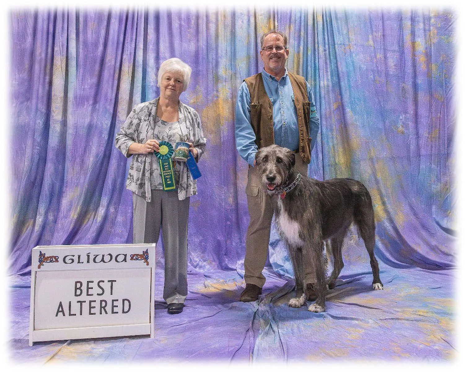   Best Altered      Dia Duit’s Lacy in the Sky with Diamonds . 05/13/2019. Breeder: Pam McNeil &amp; Rockne Elgin. By MBISS GCH CH Shellane Pavarotti Sings For Slaine x CH Dia Duit's Anna Aine CGC. Owner: Scott Mortenson, Diane Palumbo &amp; Pam McNe