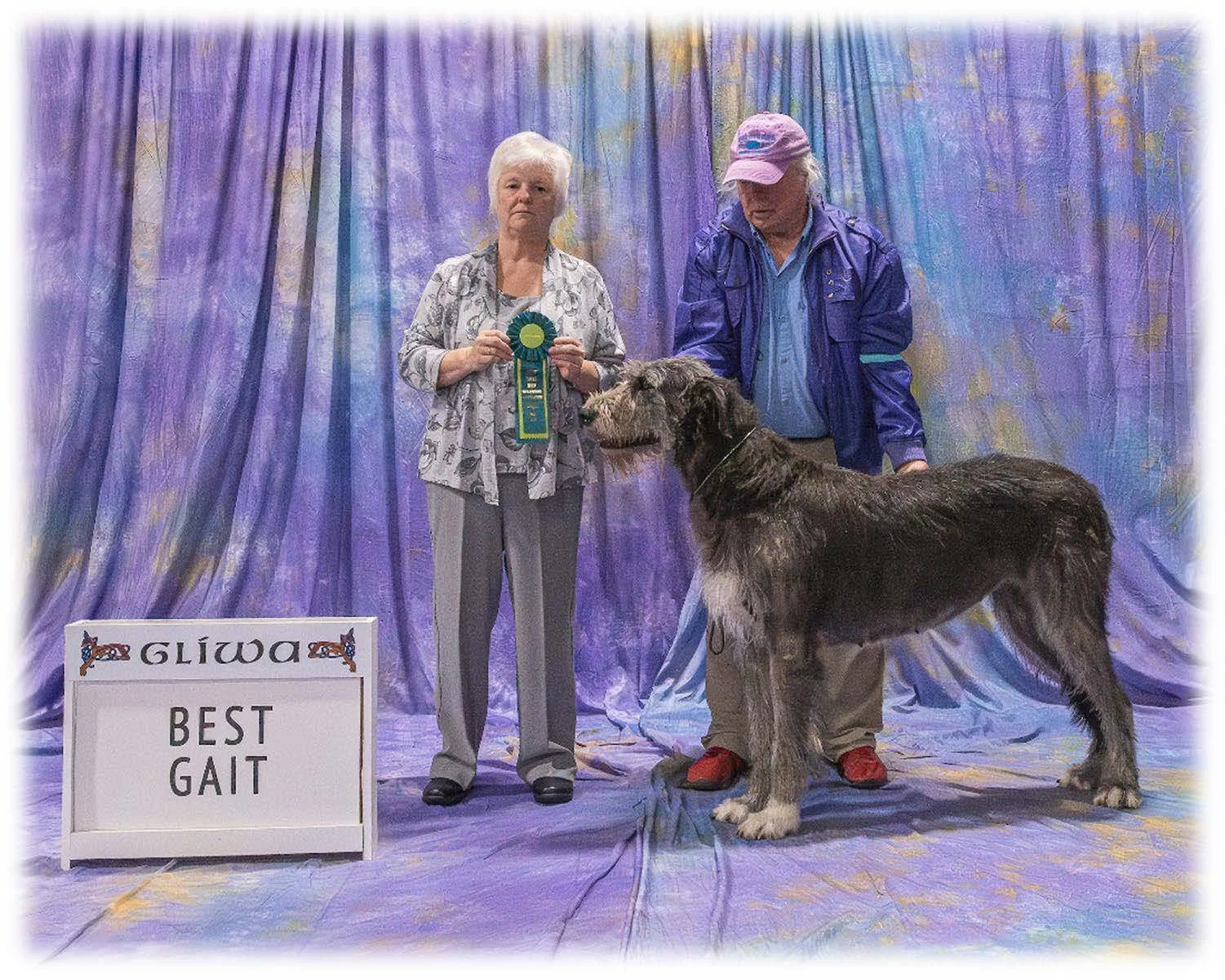   Best Gait      Rockhart Mawingo.  10/26/2019. Breeder: Lynn M. Simon. By Rockhart Zhivago x Rockhart Elation. Owner: Lynn M. Simon.  