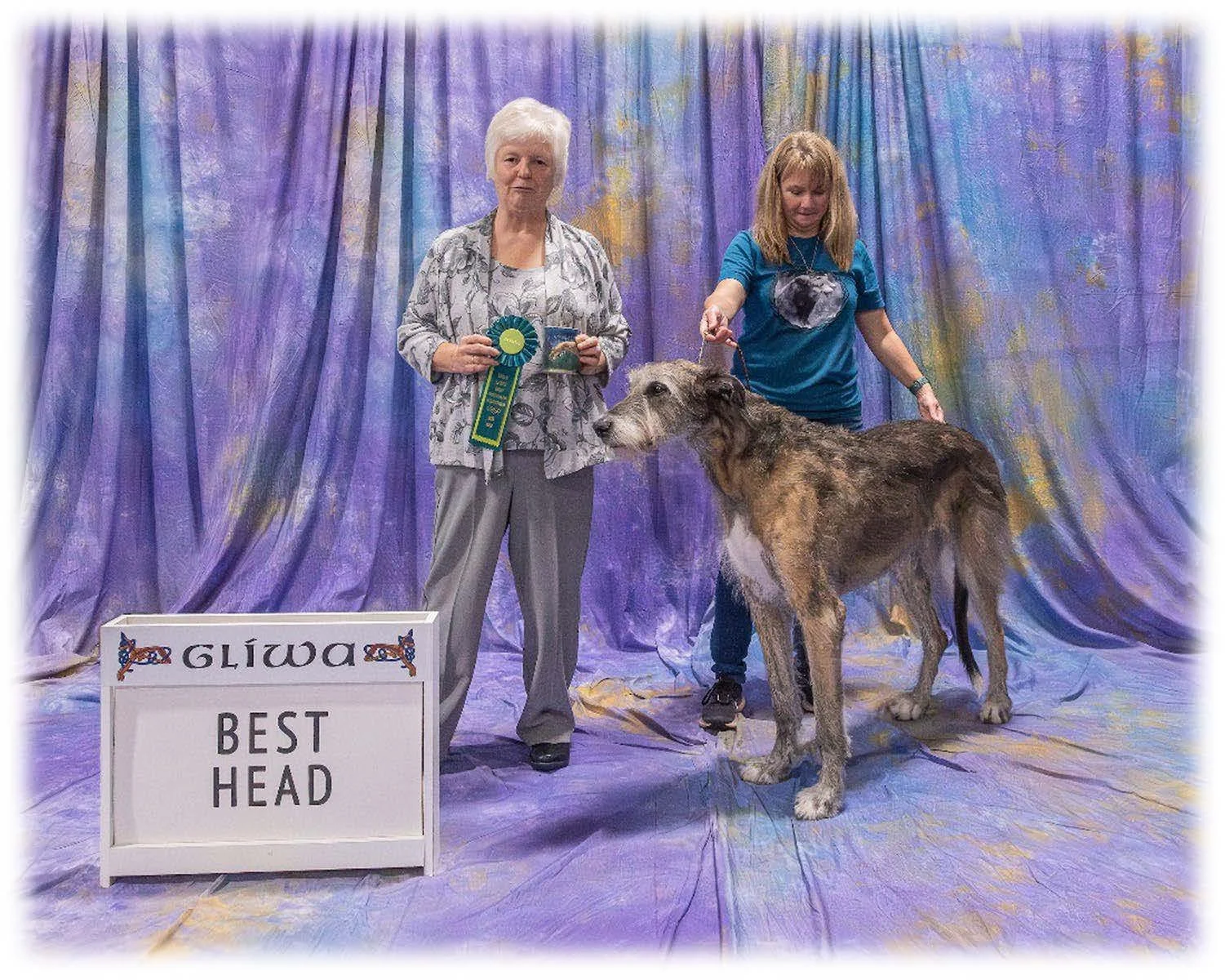   Best Head      MacCaura Riversong Fenna.  11/06/2014. Breeder: Deirdre McCarthy &amp; Christine Davis. By Riversong Love to Burn x CH MacCaura Lulu. Owner: Courtney &amp; Ryan Smith &amp; Deirdre McCarthy.     