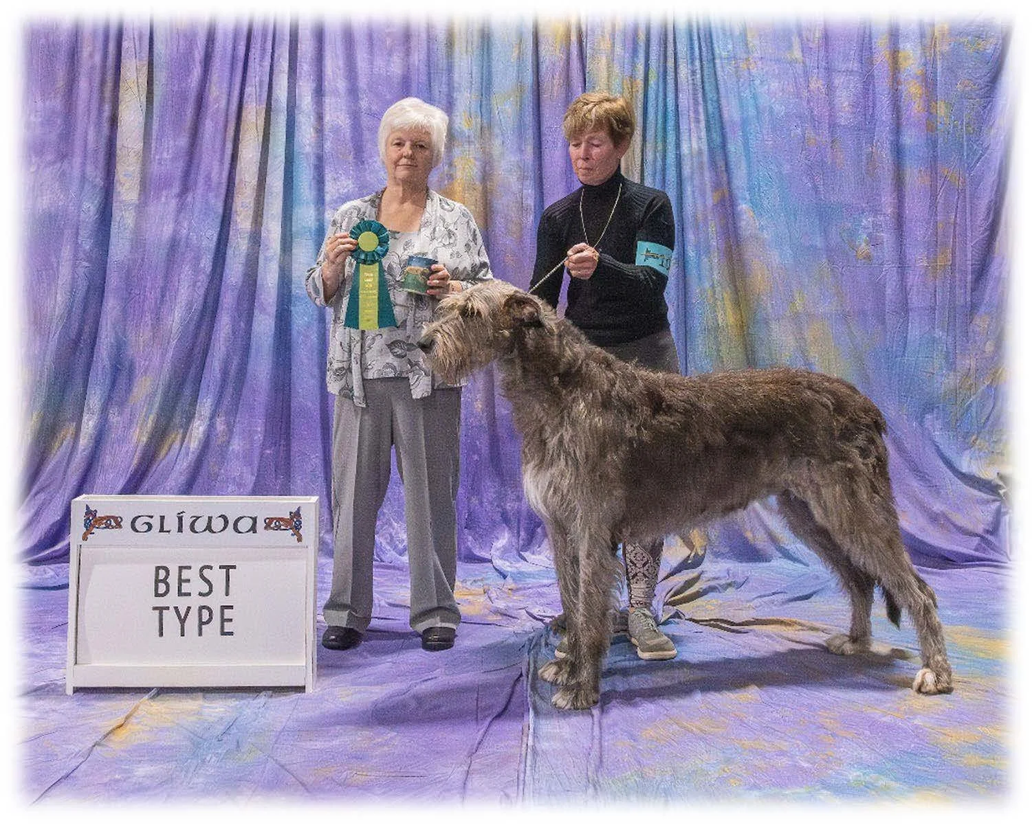   Best Type      BISS GCH CH Caraglen Berwyck Libaan at Dry Creek . 06/19/2019. Breeder: Sue &amp; Bev Stobart &amp; Robert &amp; Gretchen Bernardi. By CH Caredig Renegade x Caraglen Berwyck La De Dah. Owner: Angela Hunter Knight.     
