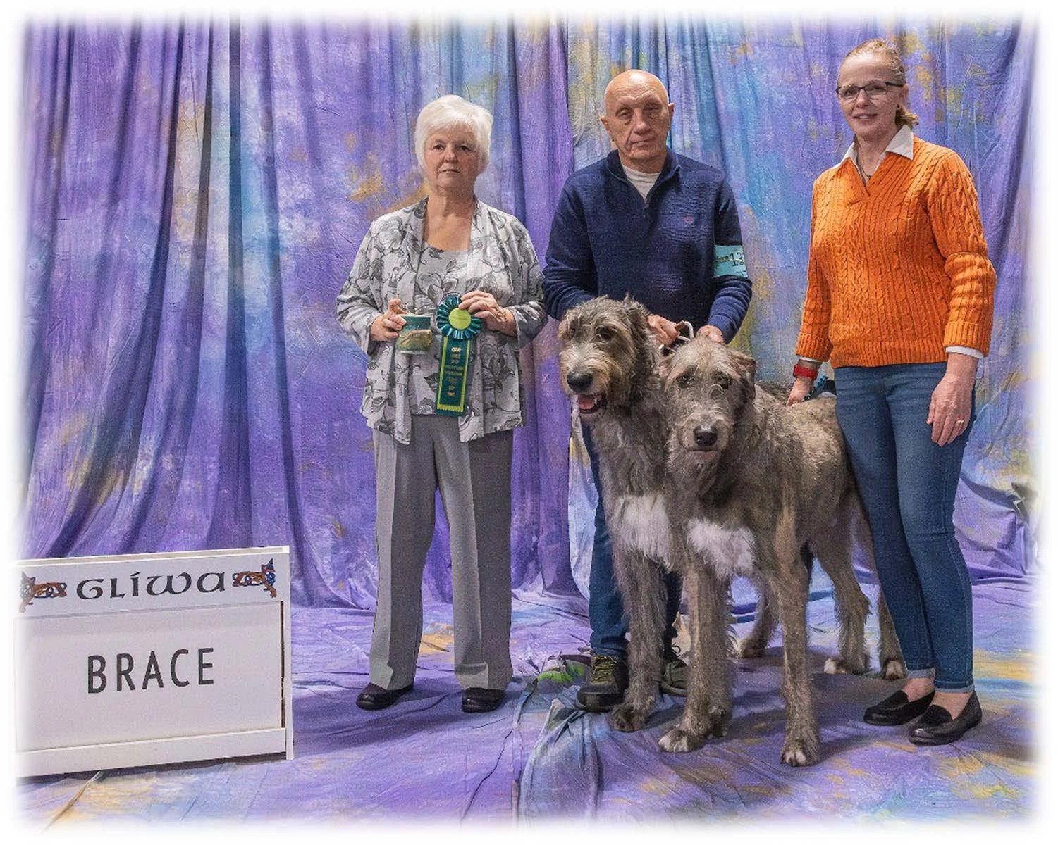   Brace      1. Dublin O’Darcy of Asgard.  08/16/2016. Breeder: Emily Hunter. By Duke of the Dunes x Noel Latrans Hunter. Owner: Tom &amp; Kim Roberson.     Samsara Sabia.  02/04/2022. Breeder: Dr. Christiana Hartenstein &amp; Dr. Nina Spadte. By CH 