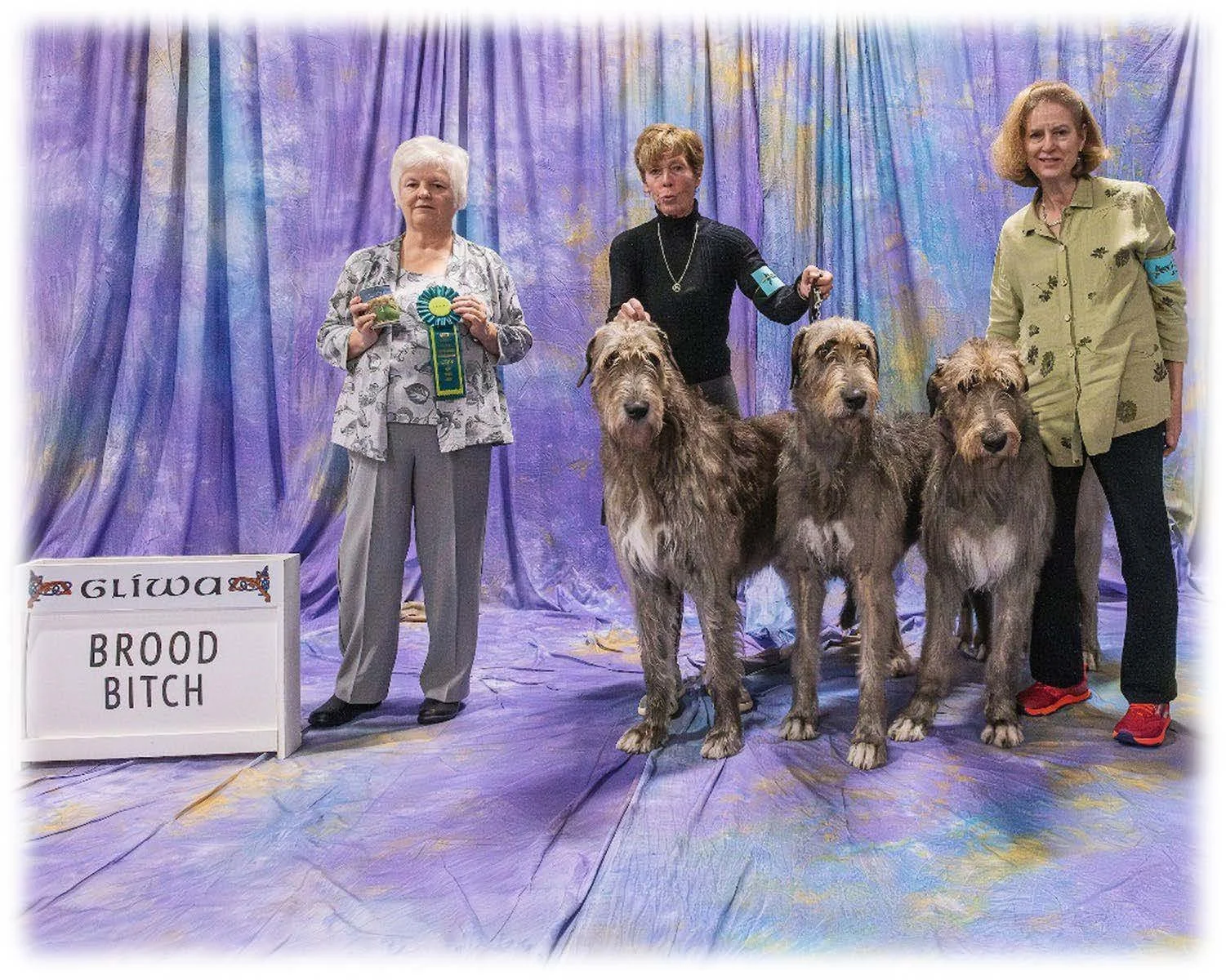   Brood Bitch     1. BISS GCH CH Caraglen Berwyck Libaan at Dry Creek. 06/19/2019. Breeder: Sue &amp; Bev Stobart &amp; Robert &amp; Gretchen Bernardi. By CH Caredig Renegade x Caraglen Berwyck La De Dah. Owner: Angela Hunter Knight.     1a. Dry Cree