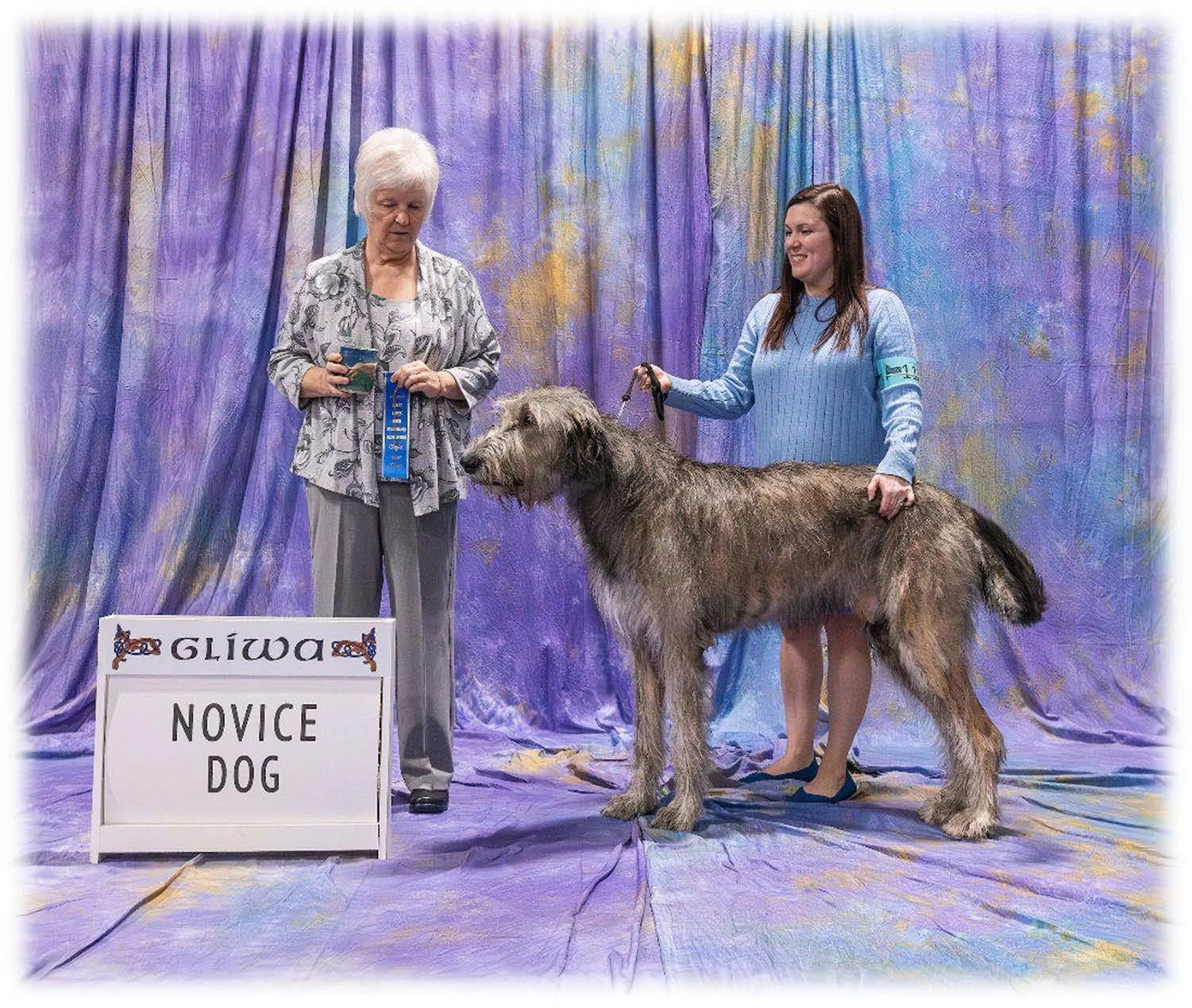  Novice Dog      1. Howlin’s Shrimp Po Boy Dressed . 04/25/2021. Breeder: David Berzins &amp; Risha Cupit-Berzins. By CH Eirian Rosslare’s Remembrance x CH Howlin’s MB Tipitina Rose CD BN RM5 RAE2 OJP BCAT JSR CGC TKN VC. Owner: Michelle &amp; Tony 