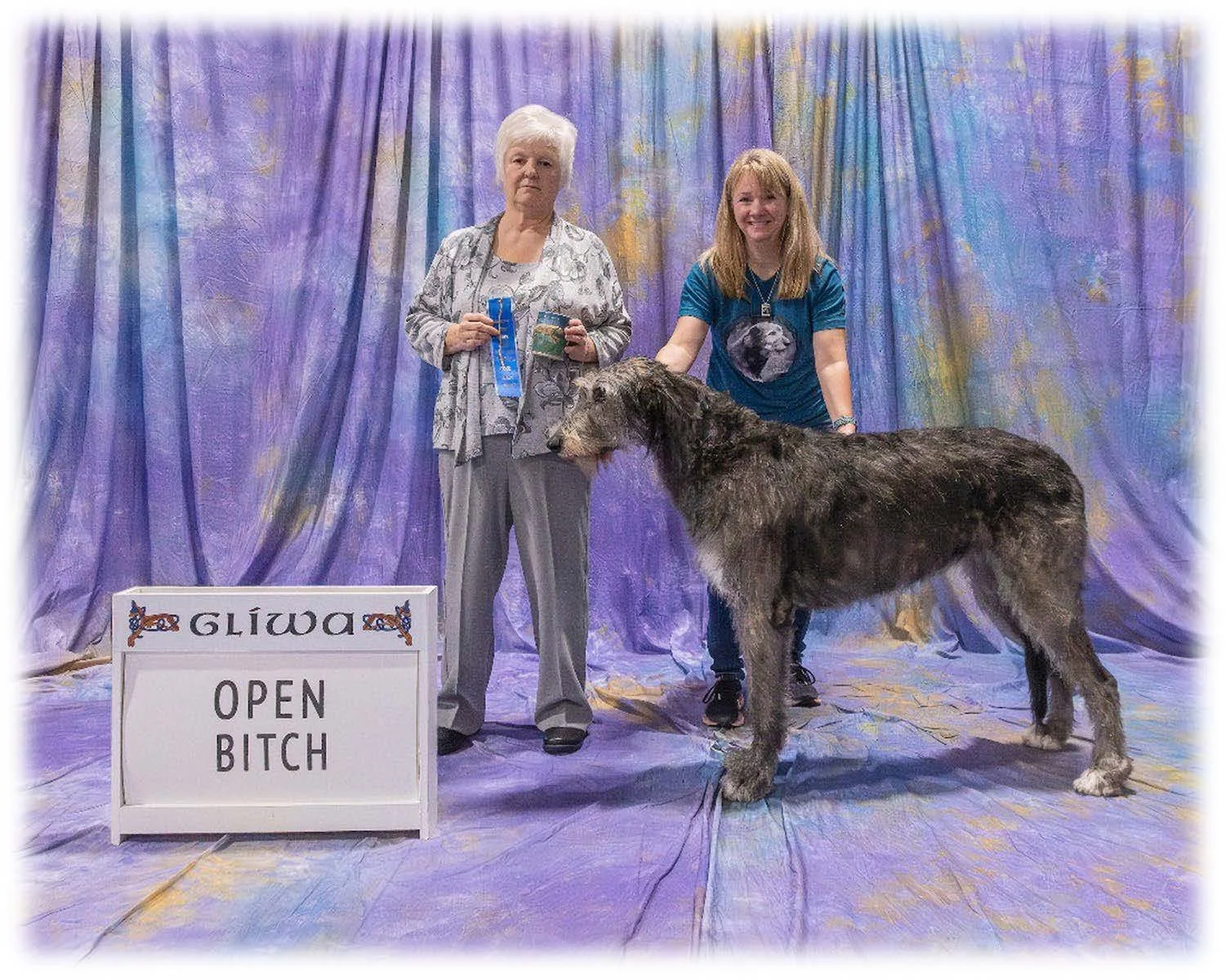   Open Bitch      1. Cualainn Wild Ambition . 09/20/2019. Breeder: Jonathan &amp; Nina Harvey. By CH Caredig Renegade x MacCaura Aisling. Owner: Courtney Smith.     2. Tresmorn Bracken.  12/22/2017. Breeder: Beth Renstrom. By Tresmorn The Abbott of W